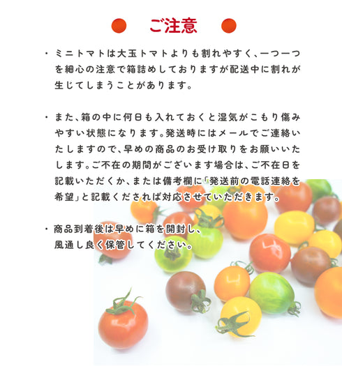 アルテminiの宝石箱☆約10種類のトマトの詰め合わせ